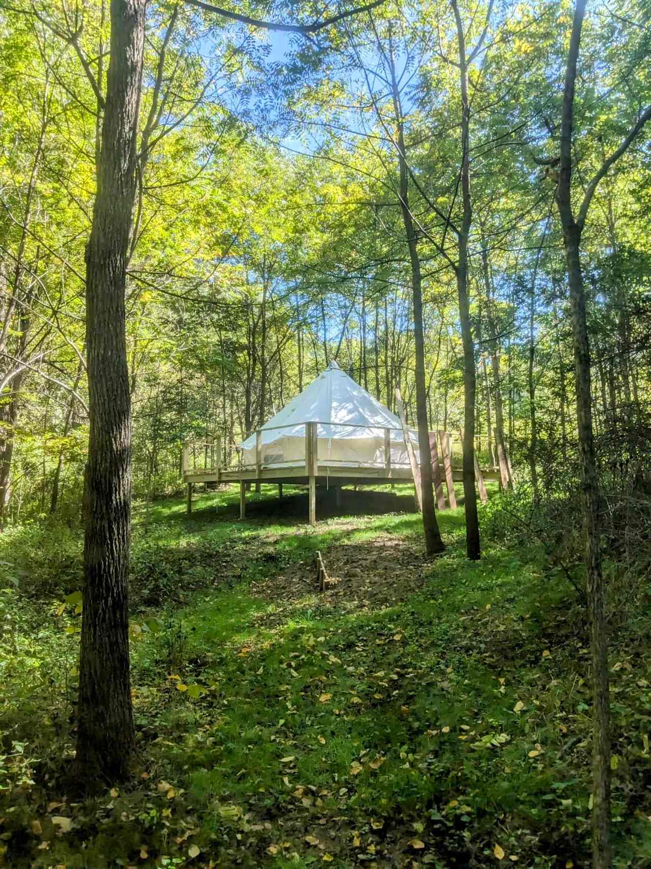 Intrepid Acres