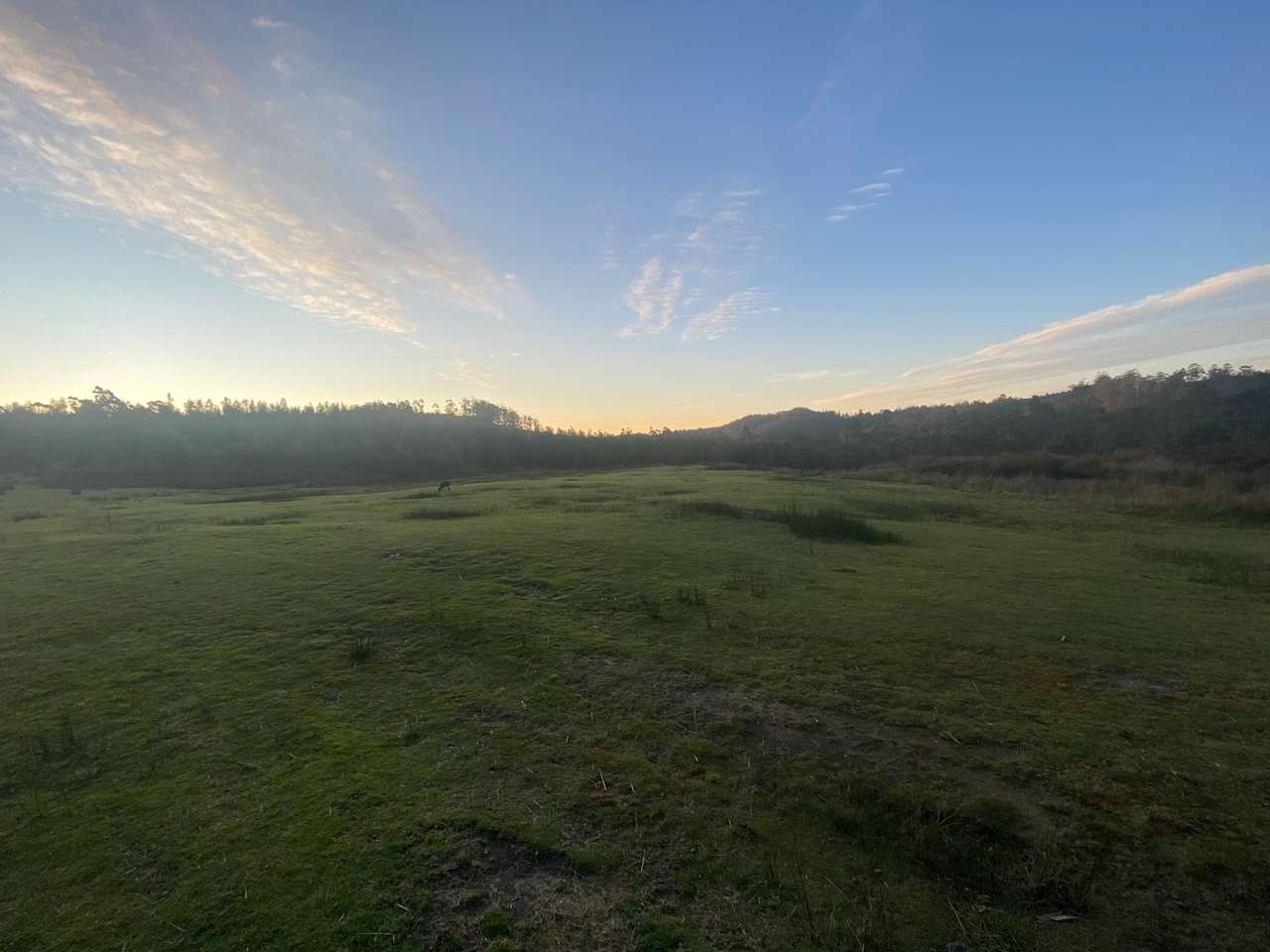 Open area for campers