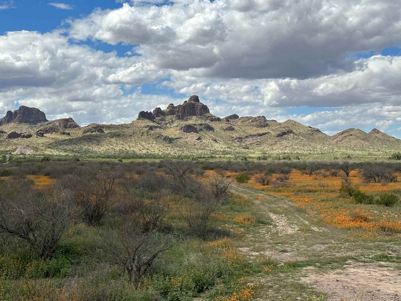 Sawtooth Mountain Farms