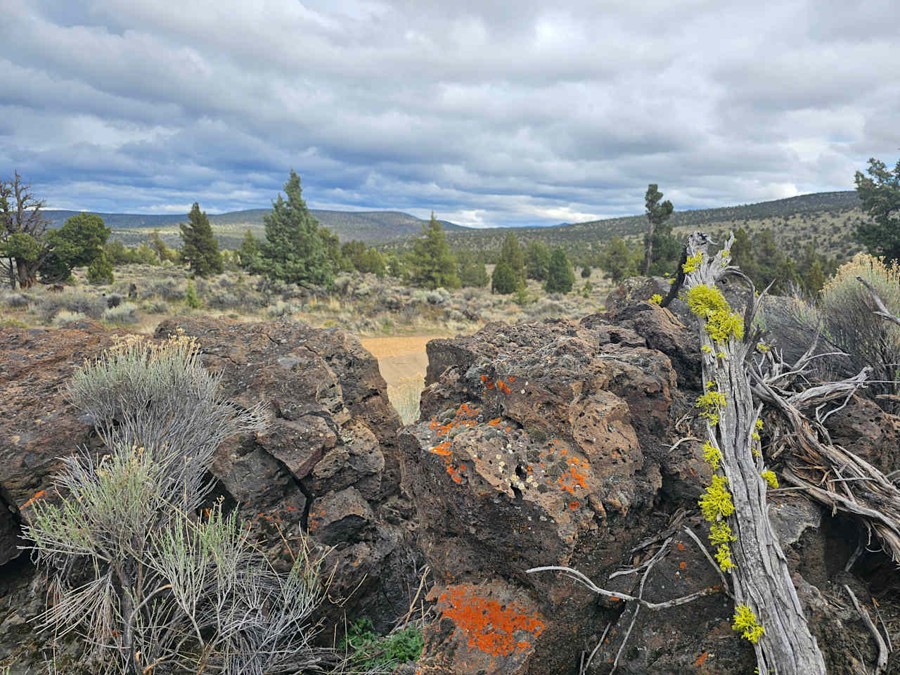 Sage Ridge