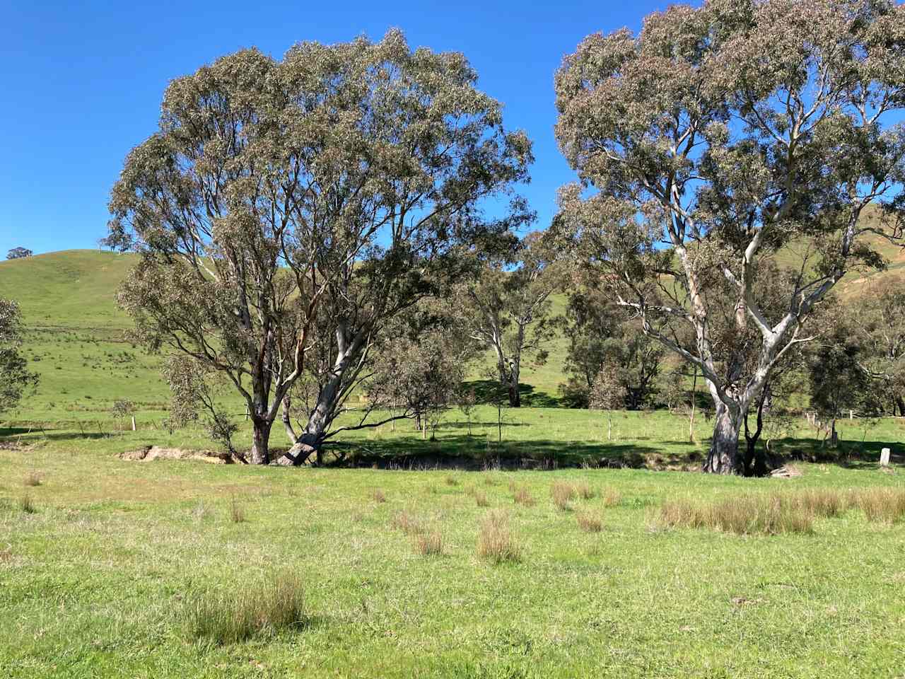 Campsite Area