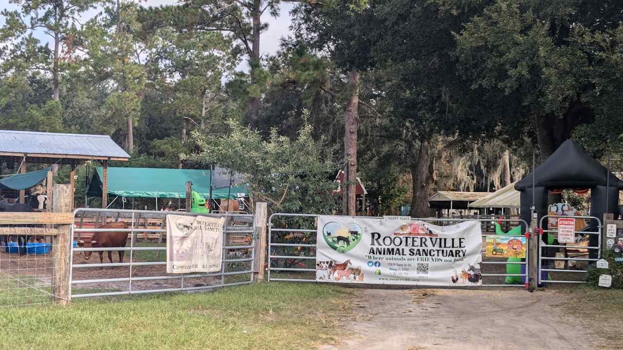 THE Farmstay for Animal Lovers!