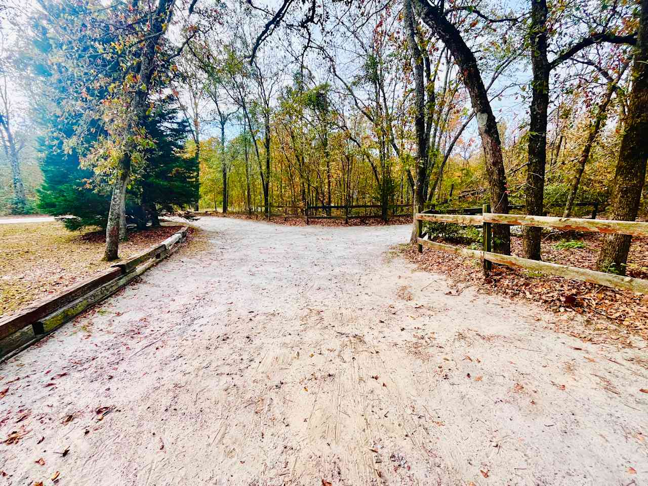 Driveway leading to the RV site