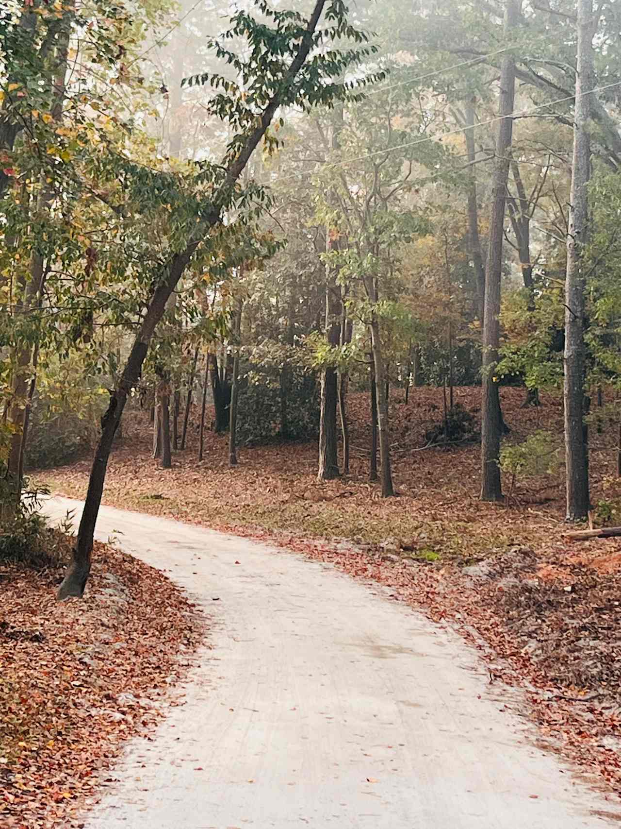 Property is located on a dirty road
