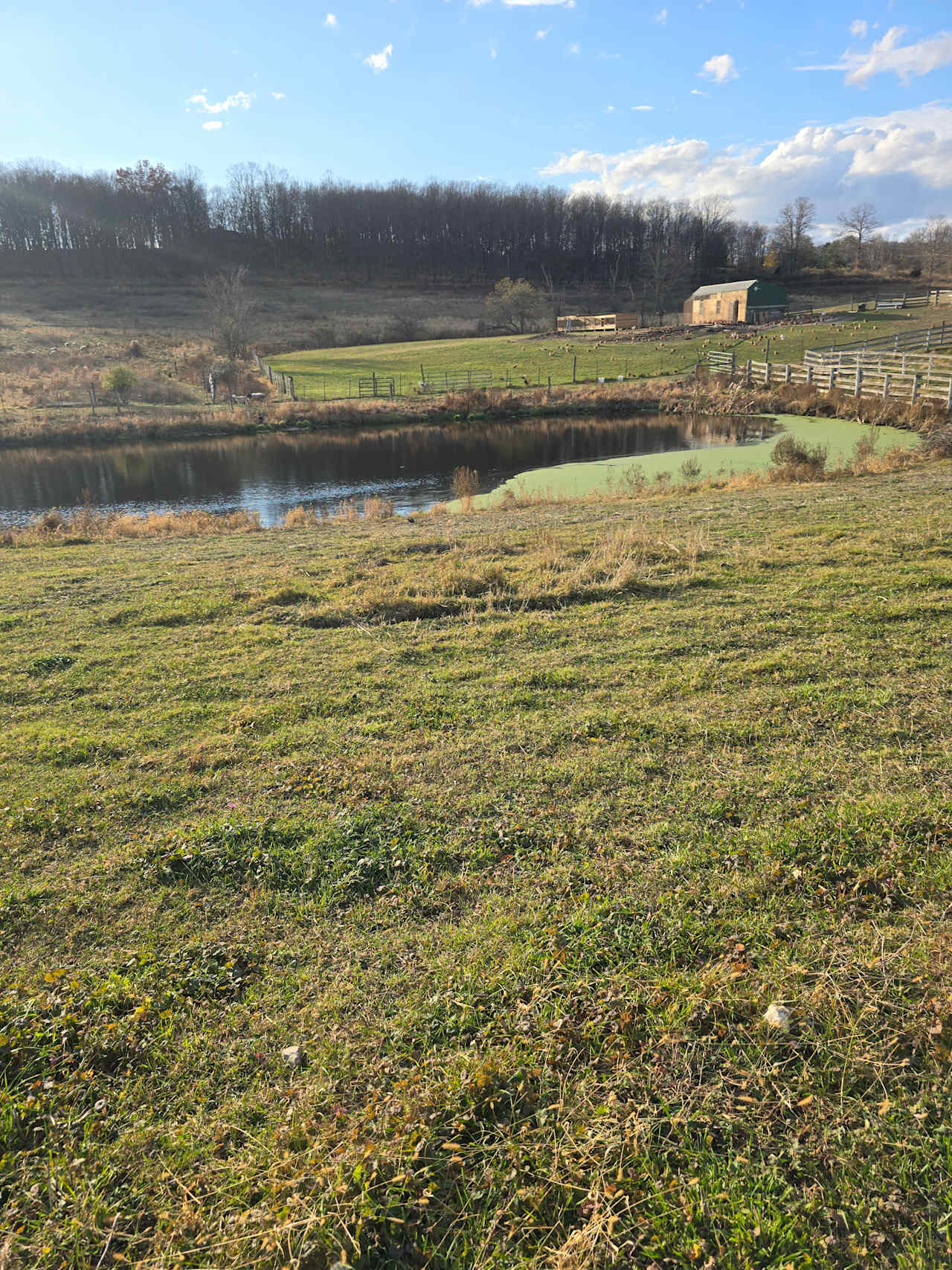 Farm Life and Countryside