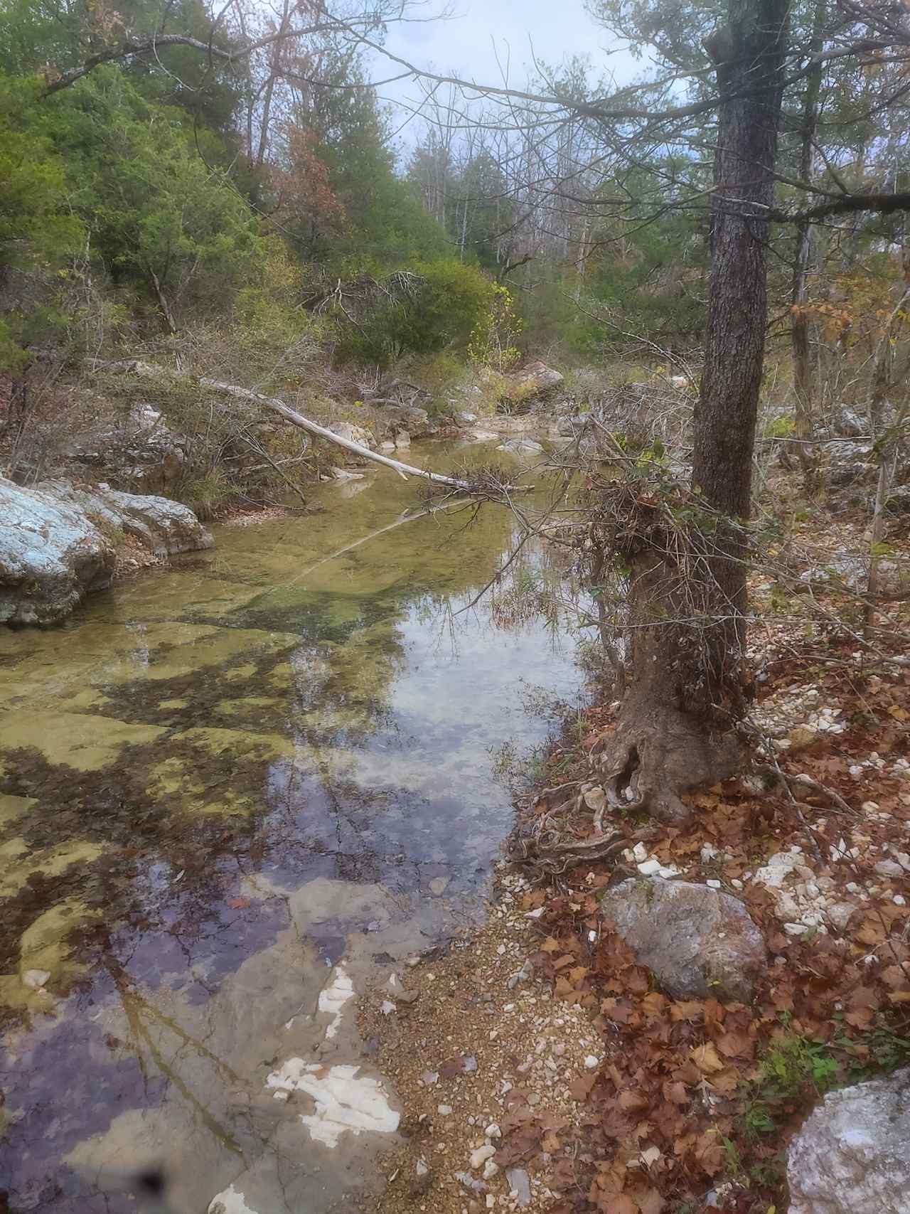 J&J Little Ranch