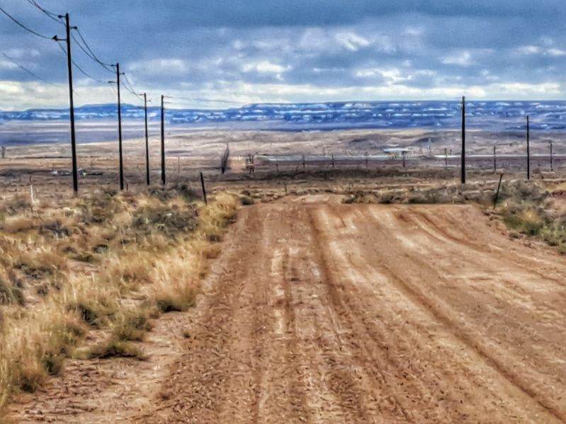 Petrified forest hideaway (Isabells
