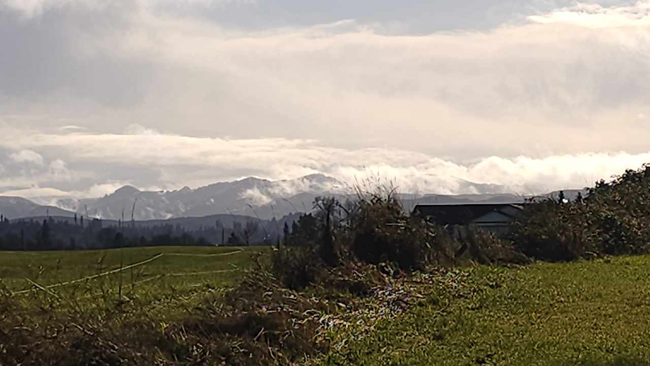 The magnificent Willapa Hills in the distance.  
