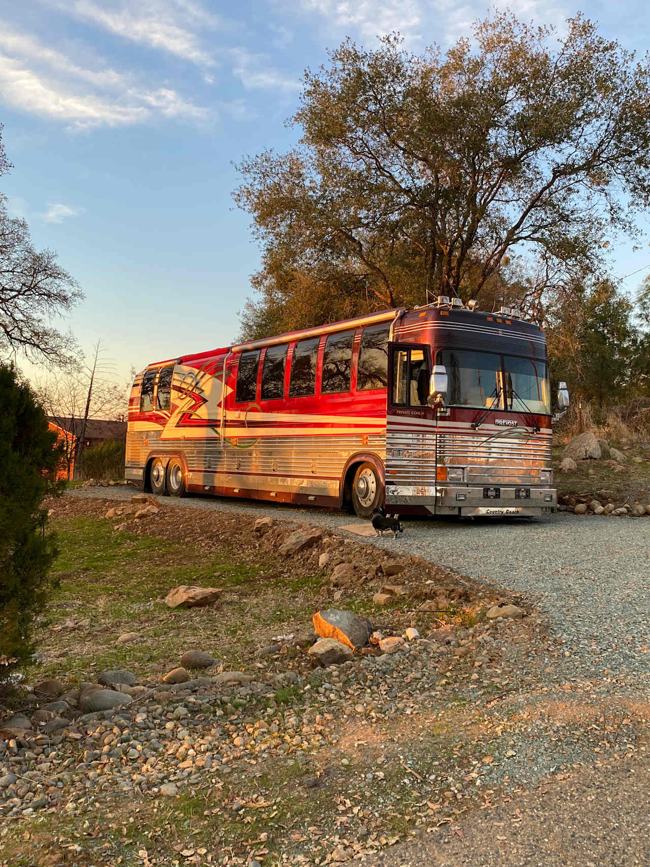 Sleepy Stag RV Spot