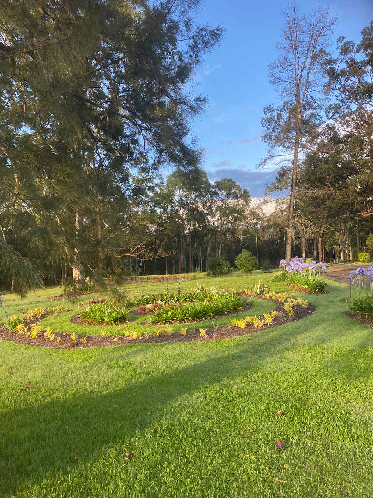 Wallaby Haven
