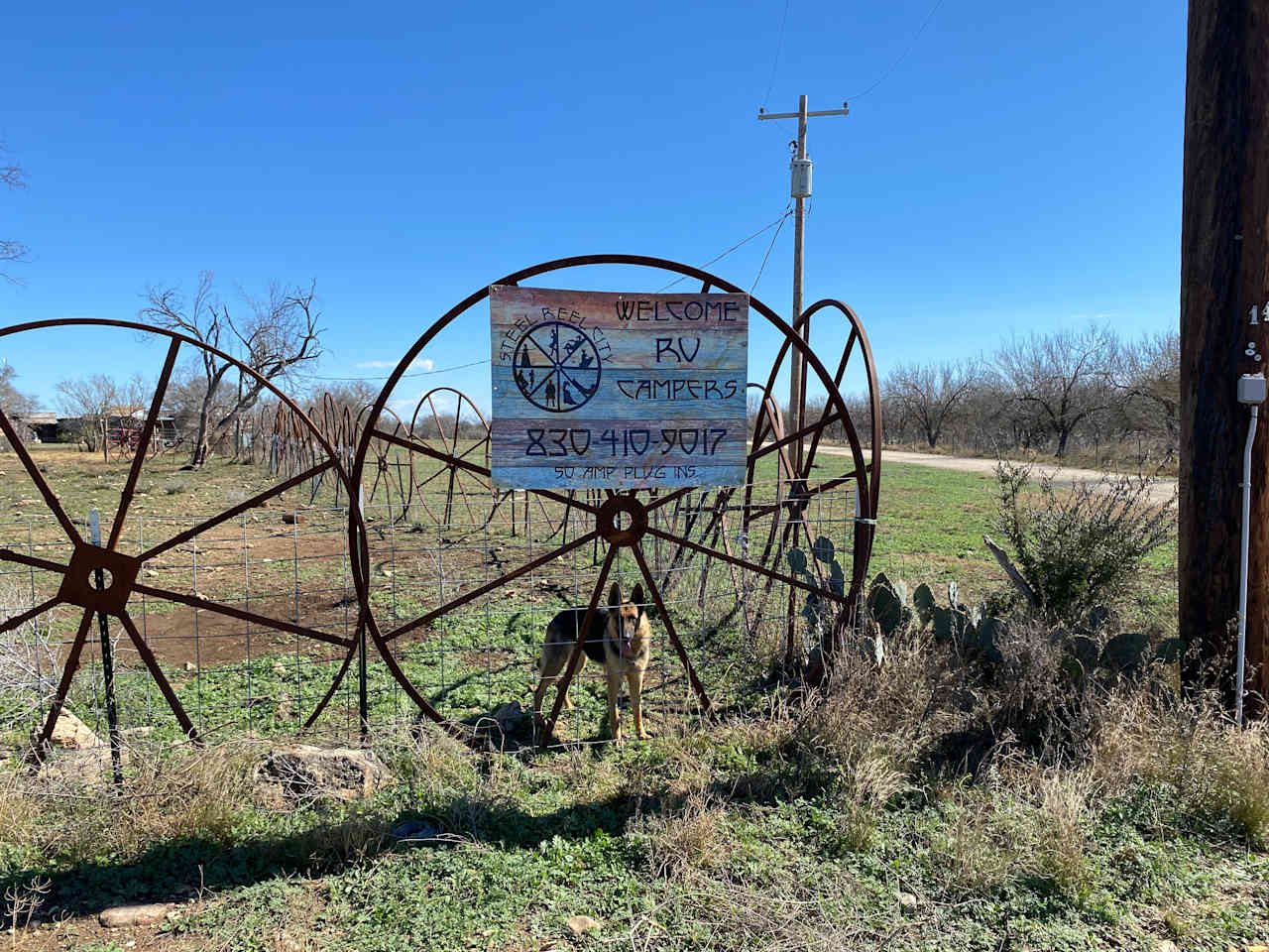 Steel Reel City