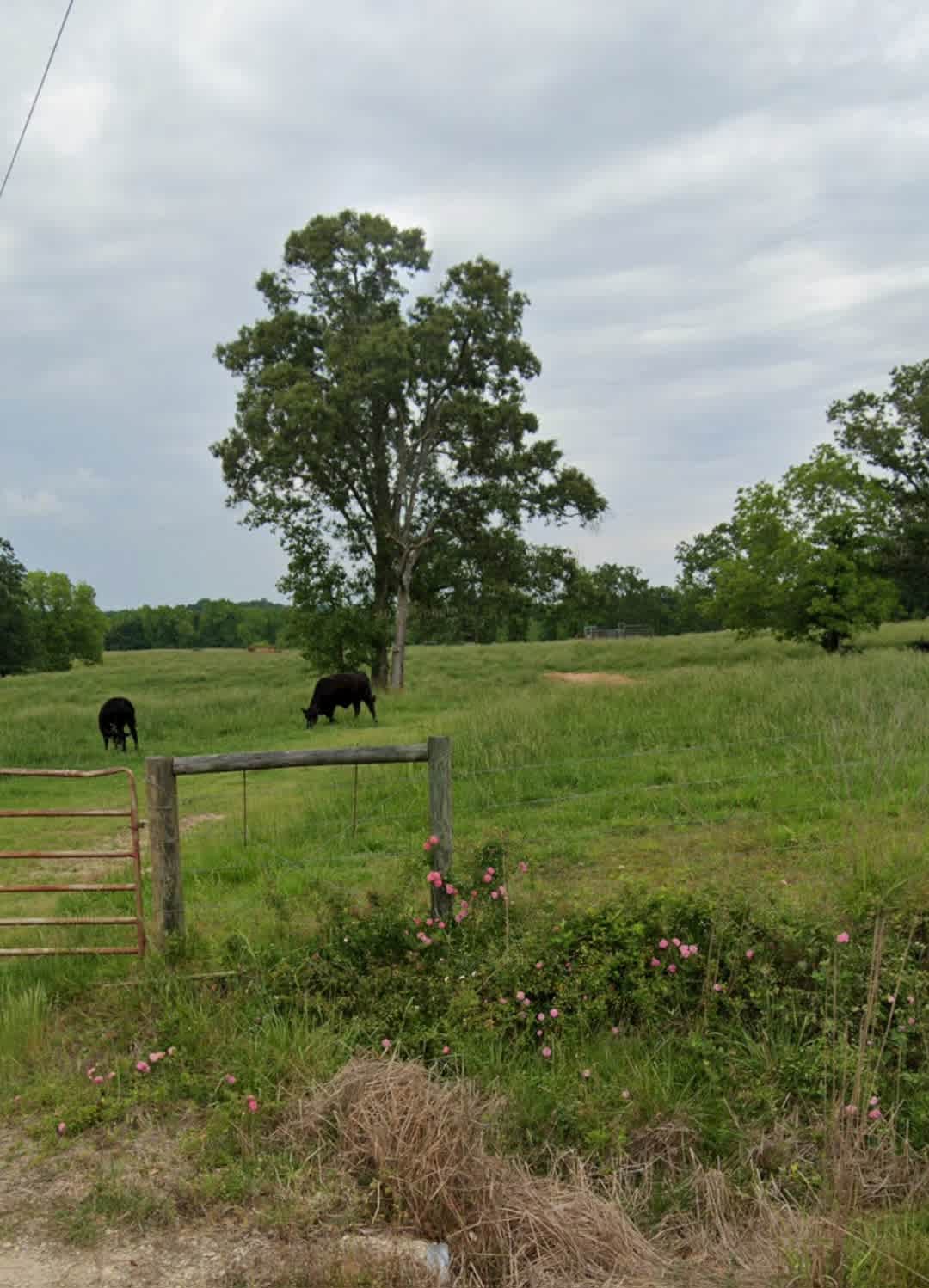 Clark Creek Grounds