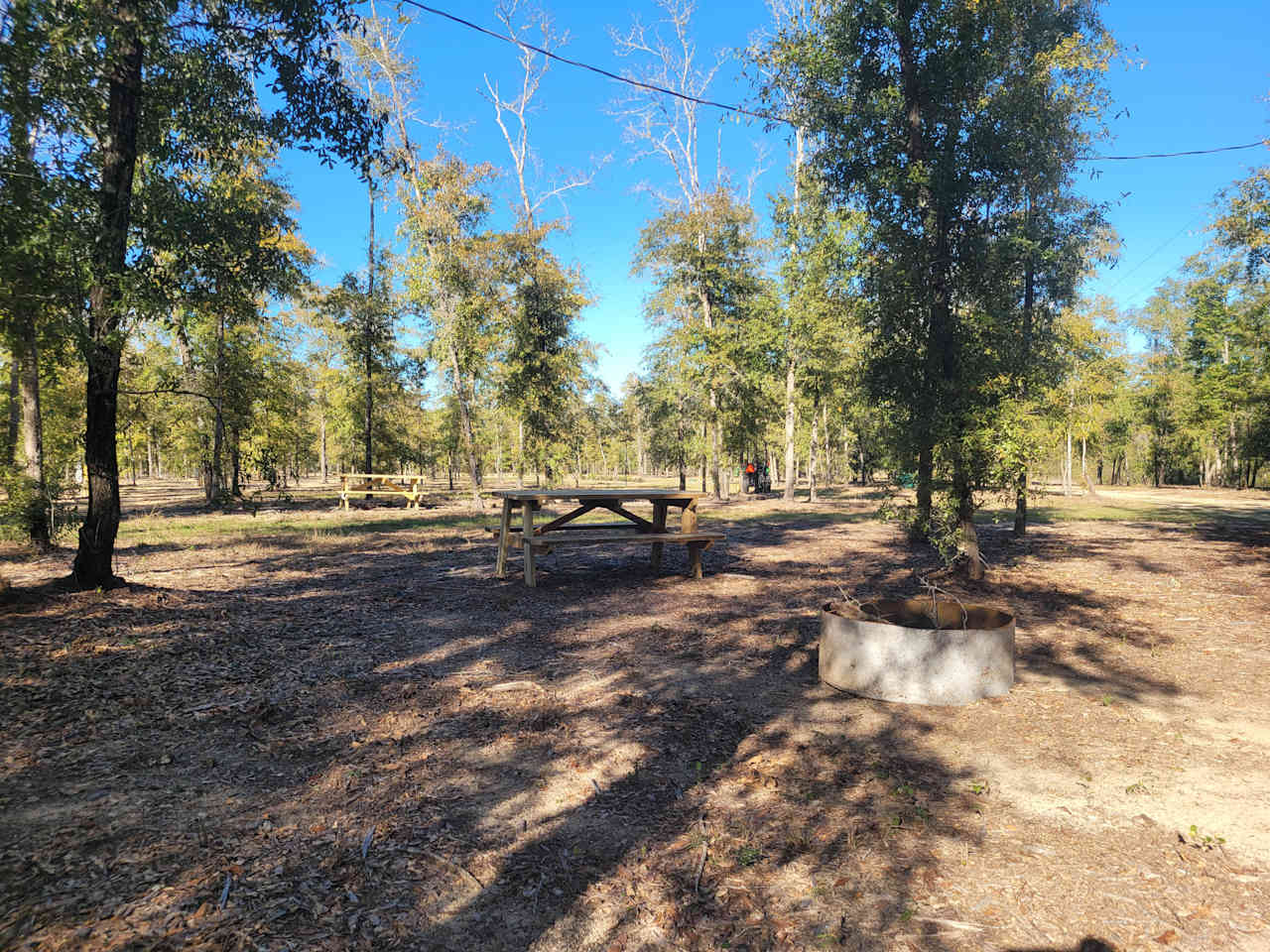 In The Woods RV Park And Storage