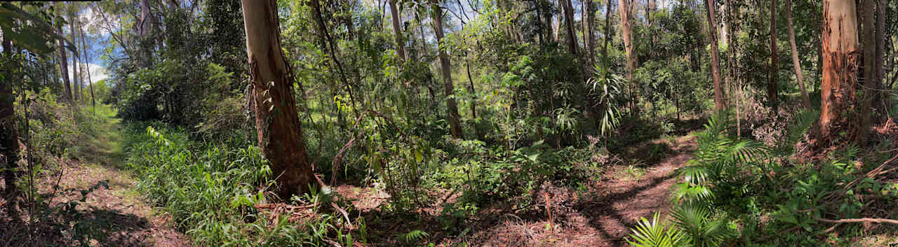 Walking track to Djanbung Gardens and township