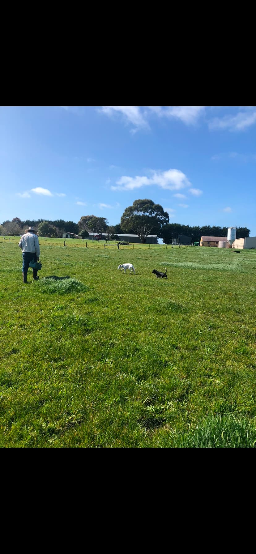 Wattleclair Farmstay