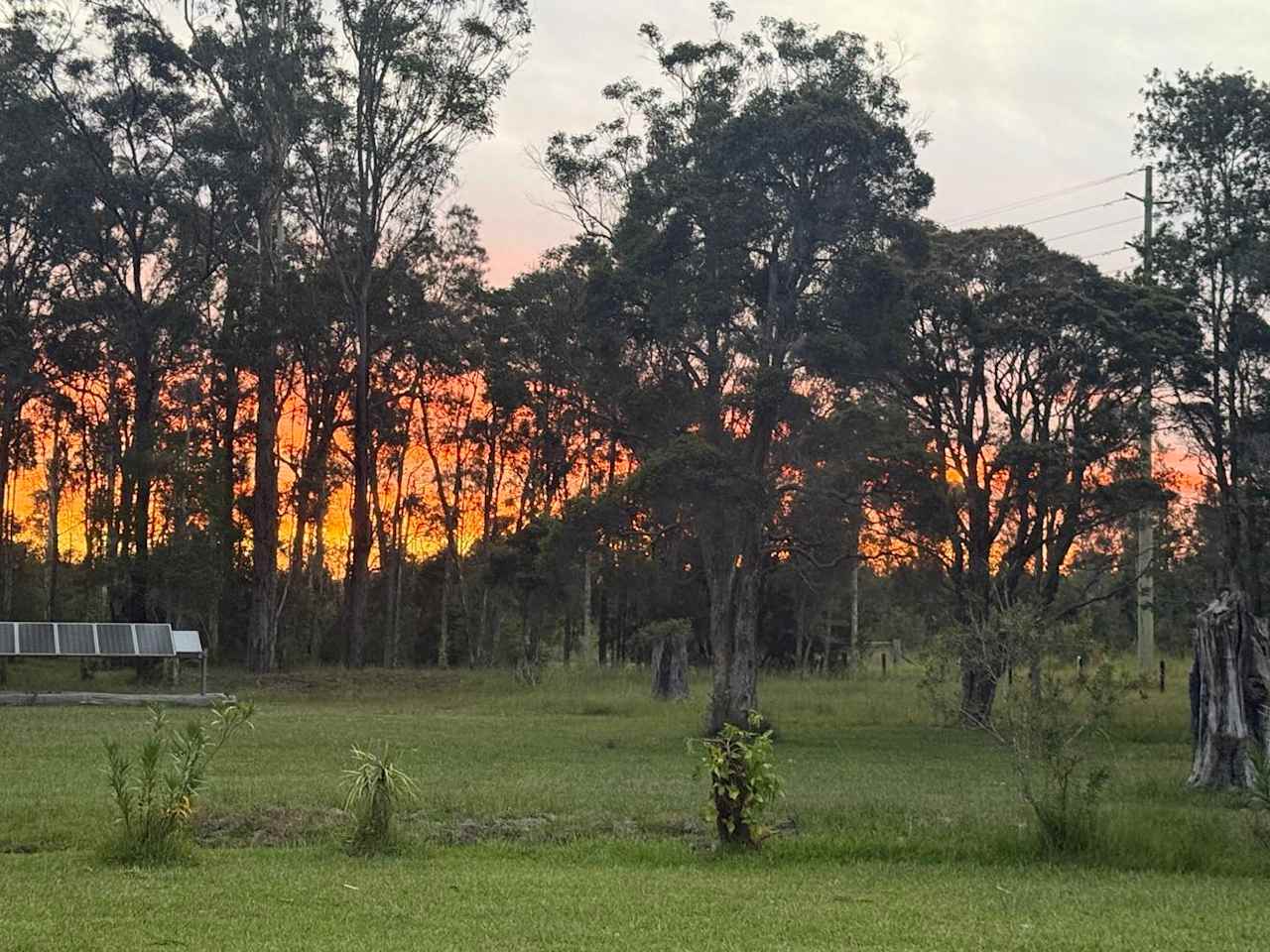 The Arcadia Urban Bush Retreat