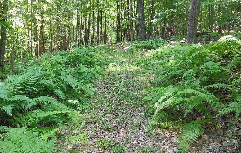 Tranquility Trails & Cabins