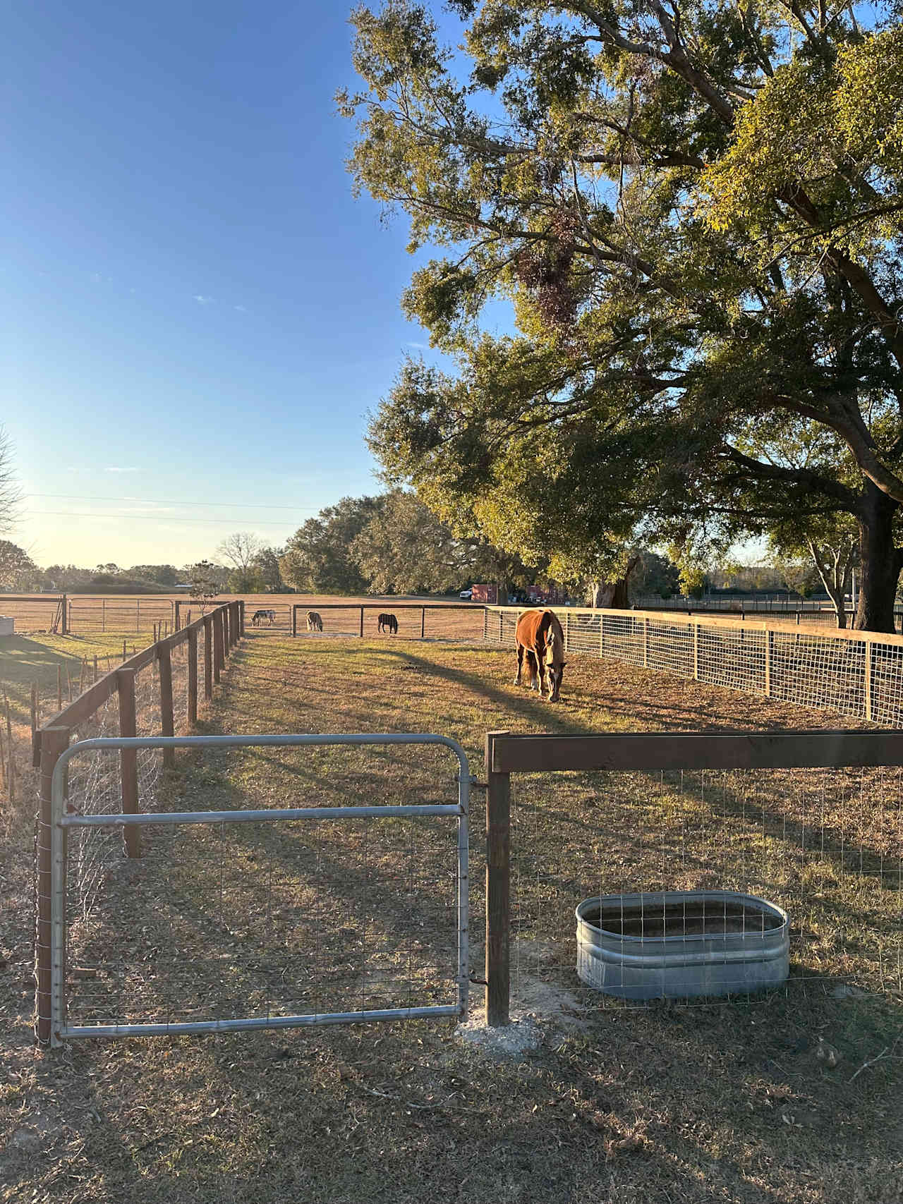 Grassy Springs Farm and Retreat