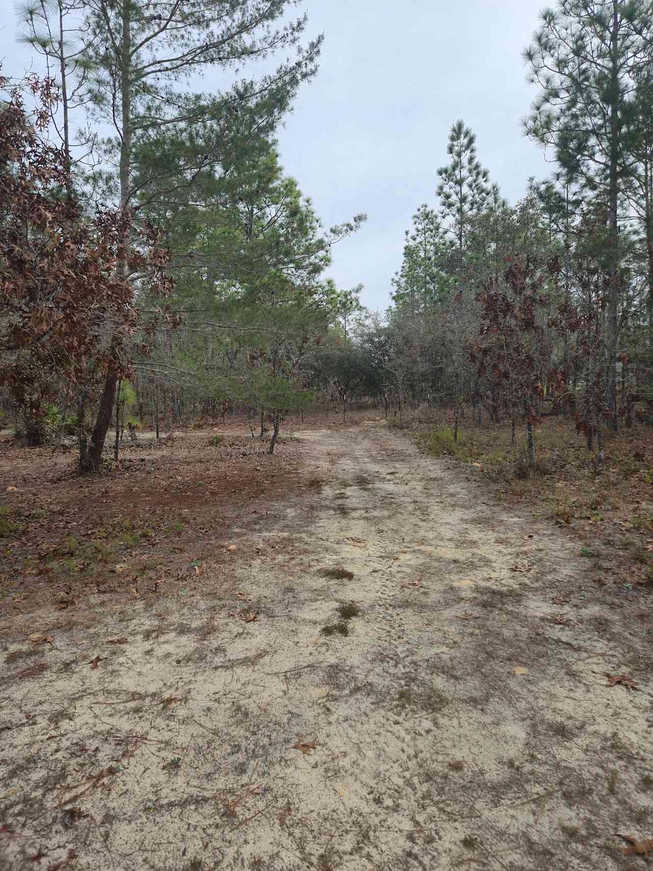 Camp Cavalier