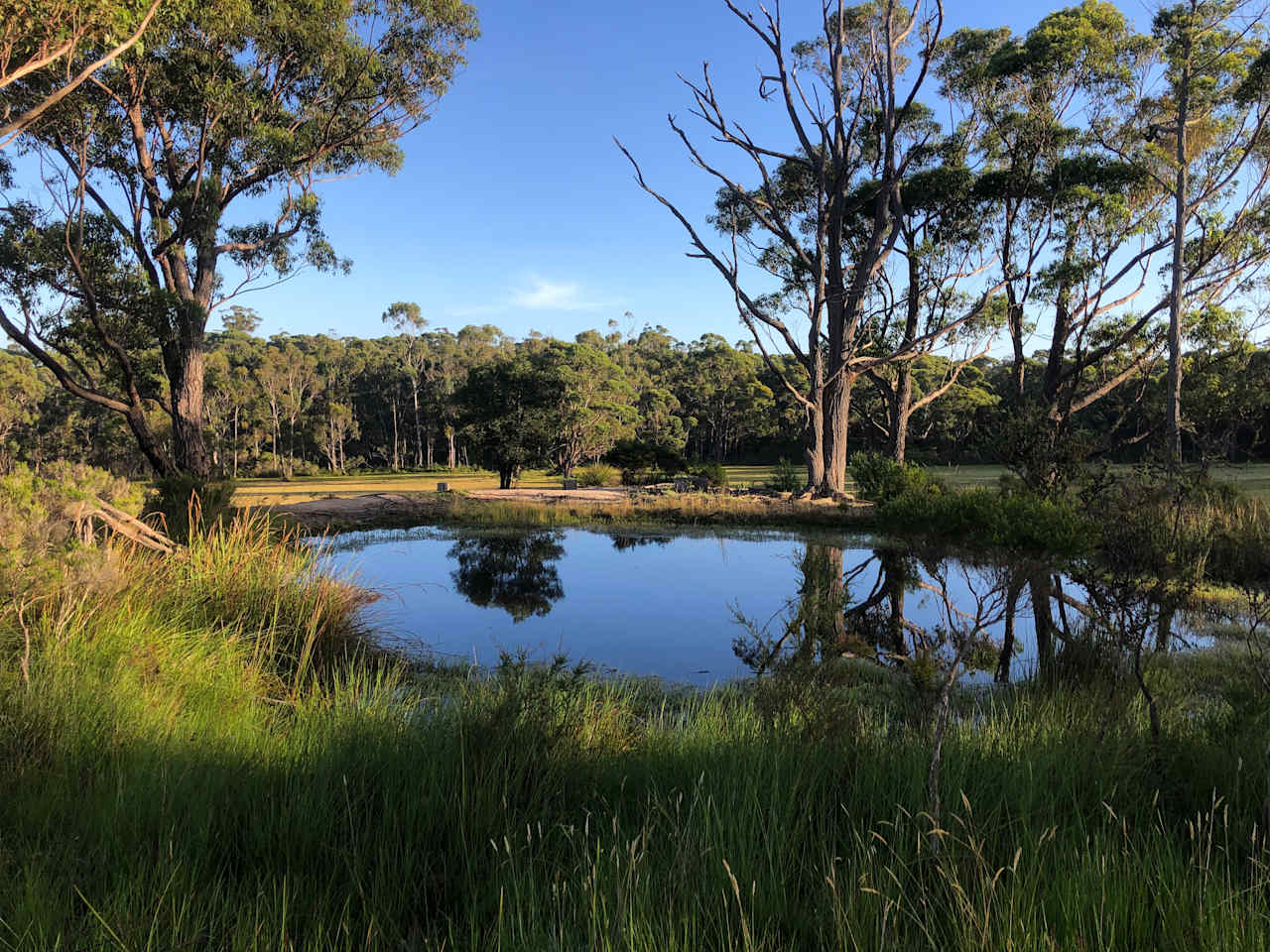 Lake Corringle Camp Park