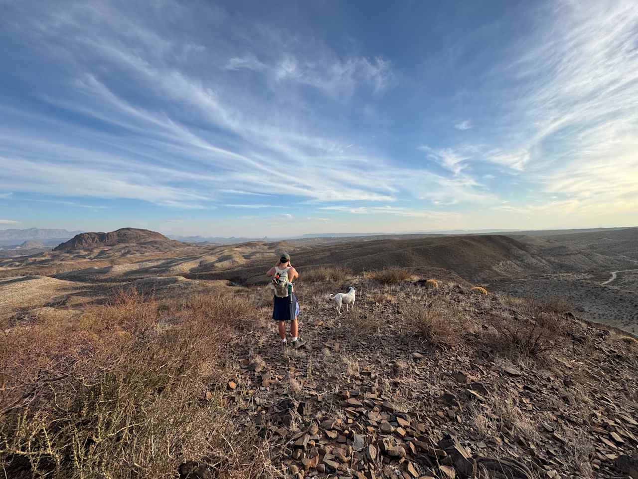 Terlingua Mountain Wildlife Camp