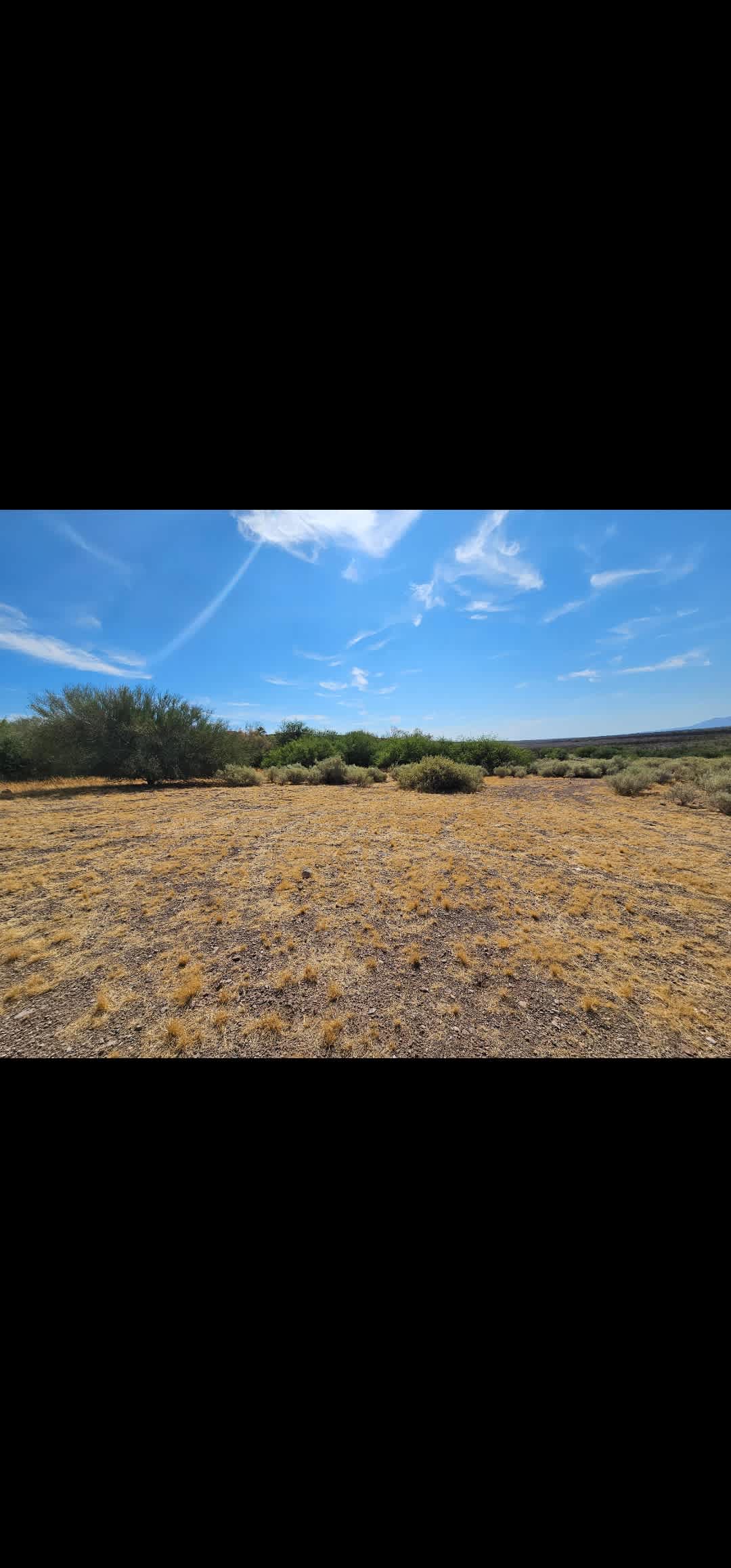 Glasshopper Ranch