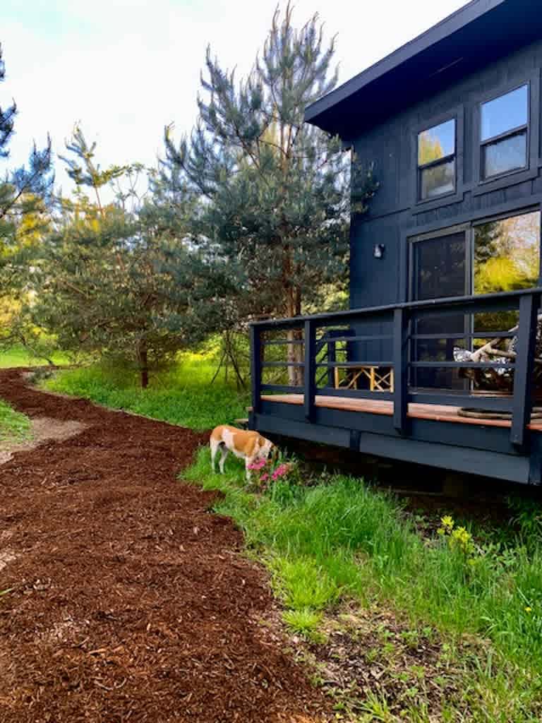 Glamping in a Tiny Cabin on a Farm