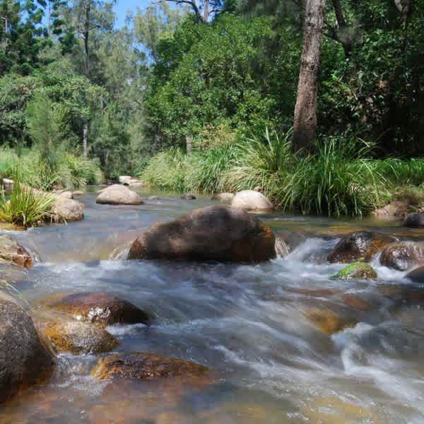 Mt Barney Lodge Eco Retreat