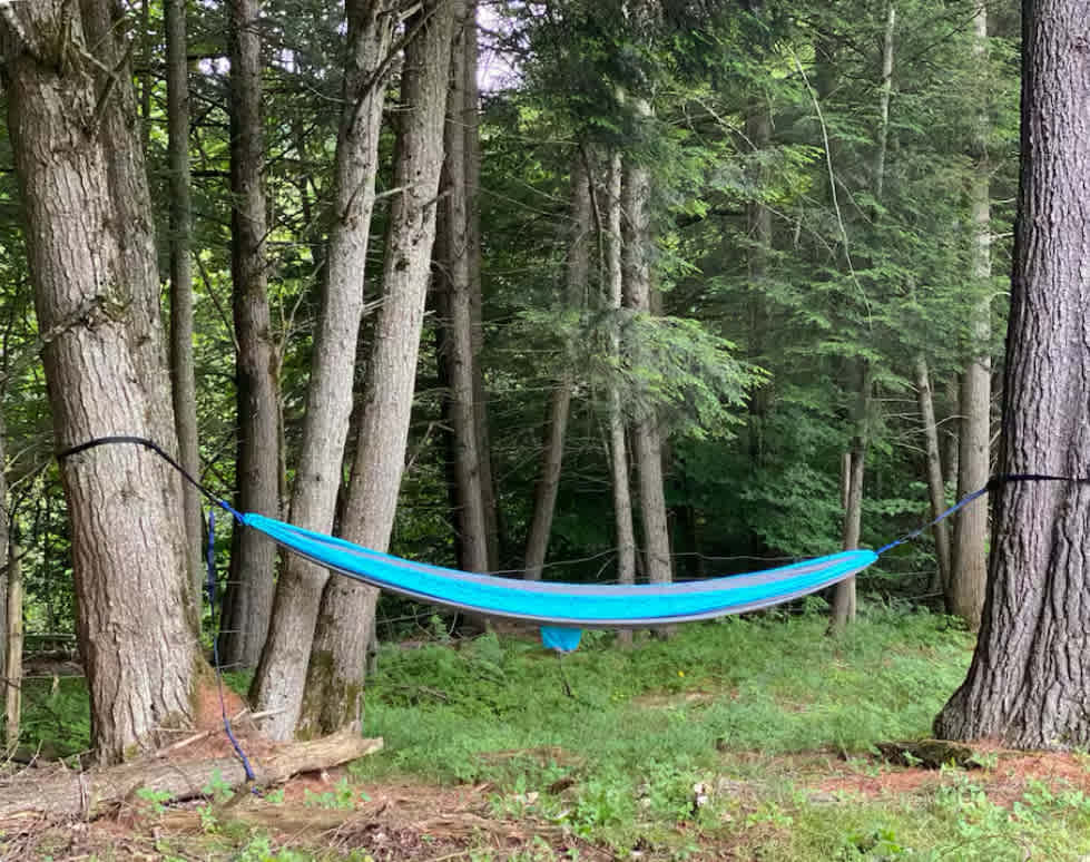 Butternut Hollow Camping