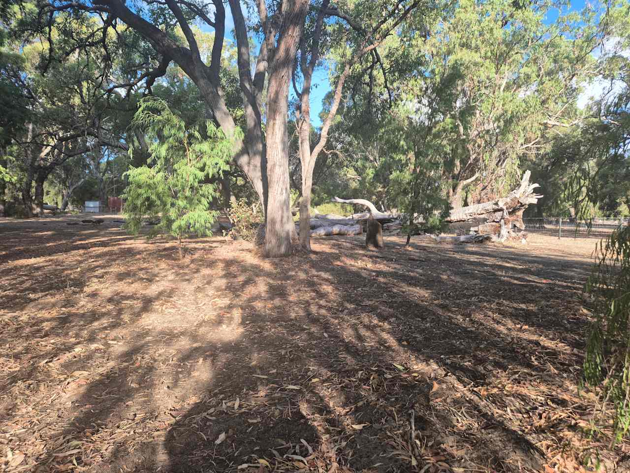 3 Crows Caravan And Campgrounds
