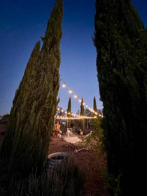 Dos Fernandos' Hideaway RV vineyard