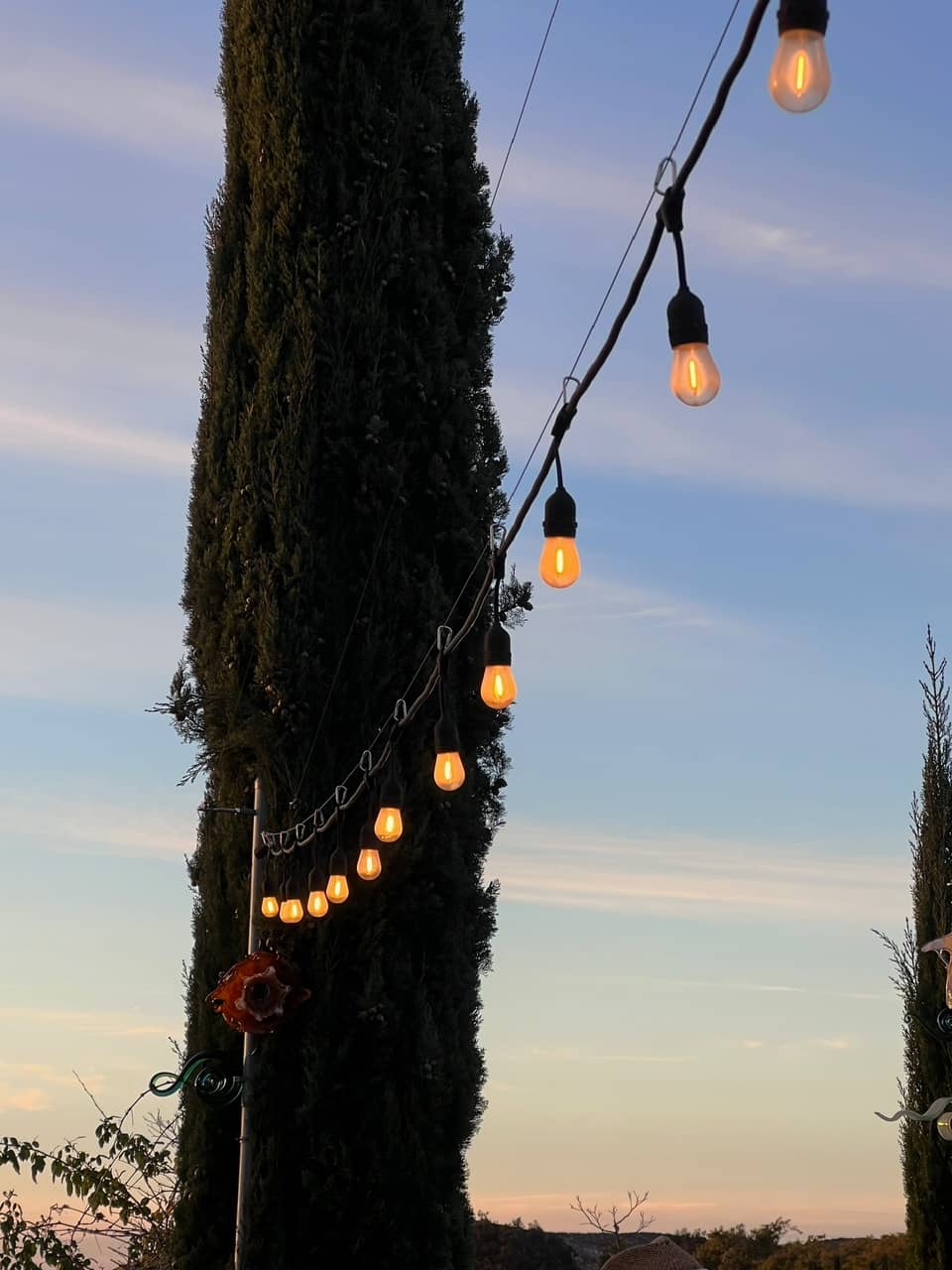 Dos Fernandos' Hideaway RV vineyard