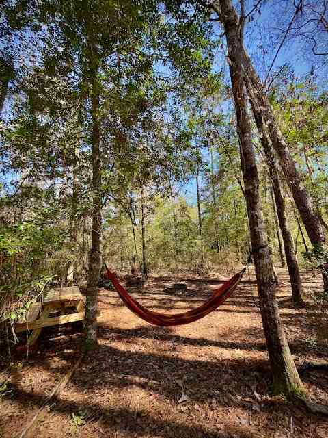 **TENT & HAMMOCK NOT INCLUDED** but are available for purchase or rent at the camp store! -- Each campsite only comes with a picnic table & fire pit ring with grill rack.  Basic camping supplies are available in the camp store!