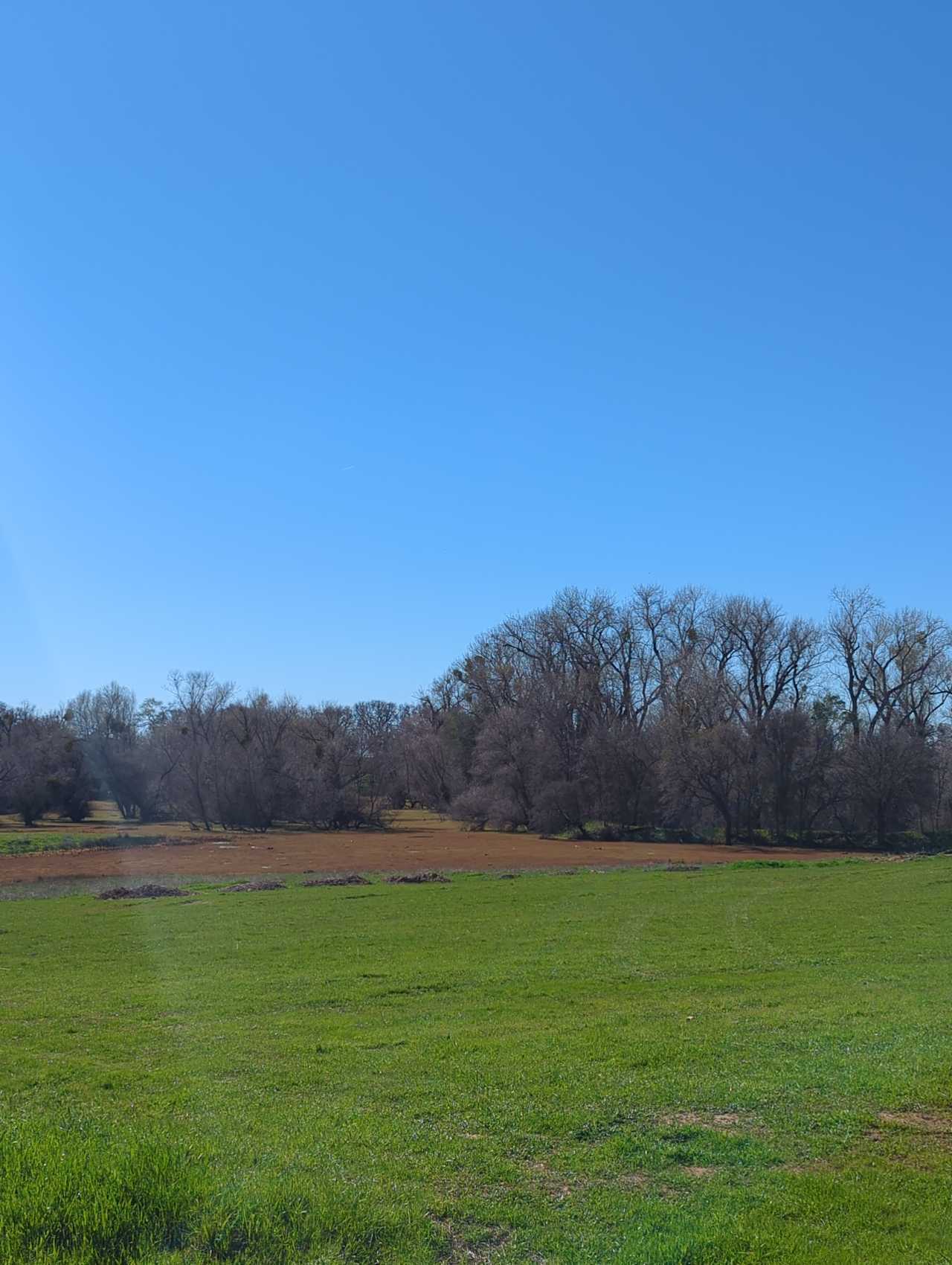 Blackhawk Ravine Campground