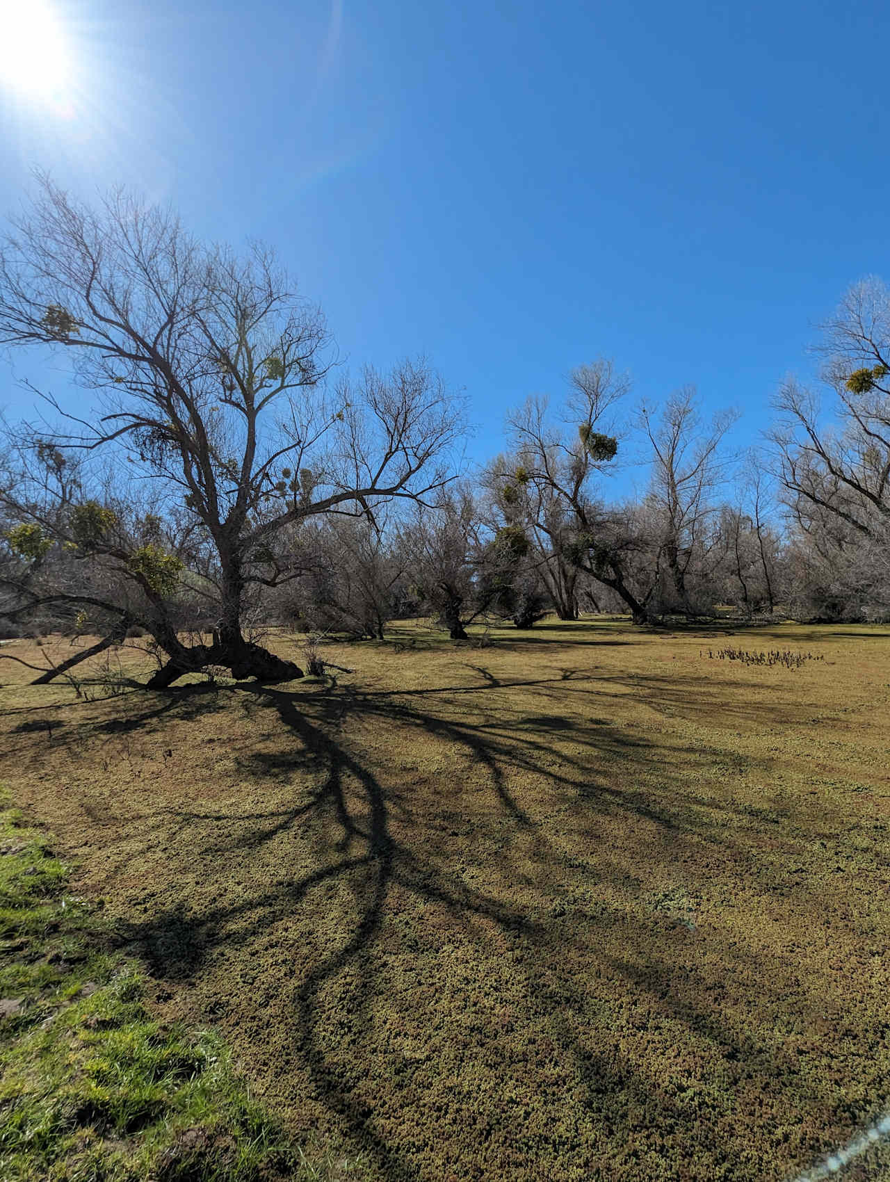 Blackhawk Ravine Campground