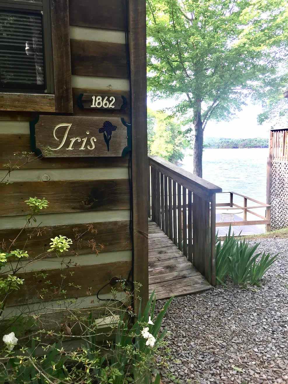 Iris on Douglas Lake