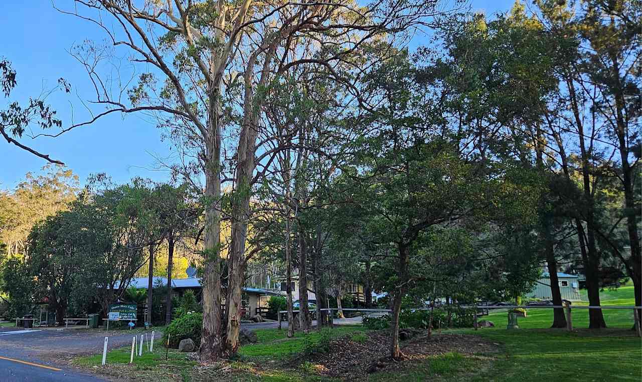 Queen Mary Falls Caravan Park