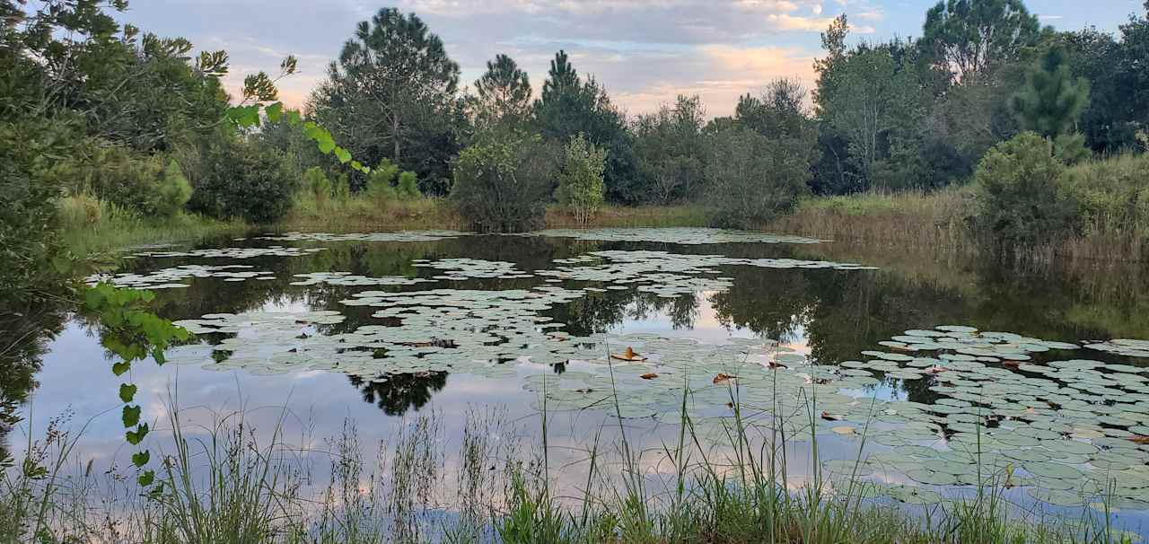 Wandering Waters