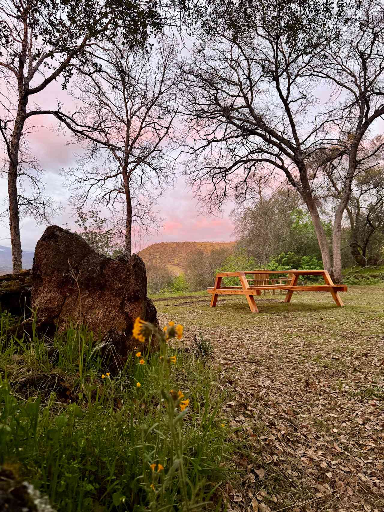 Our large picnic table can accommodate up to six campers, and four very comfortably. 