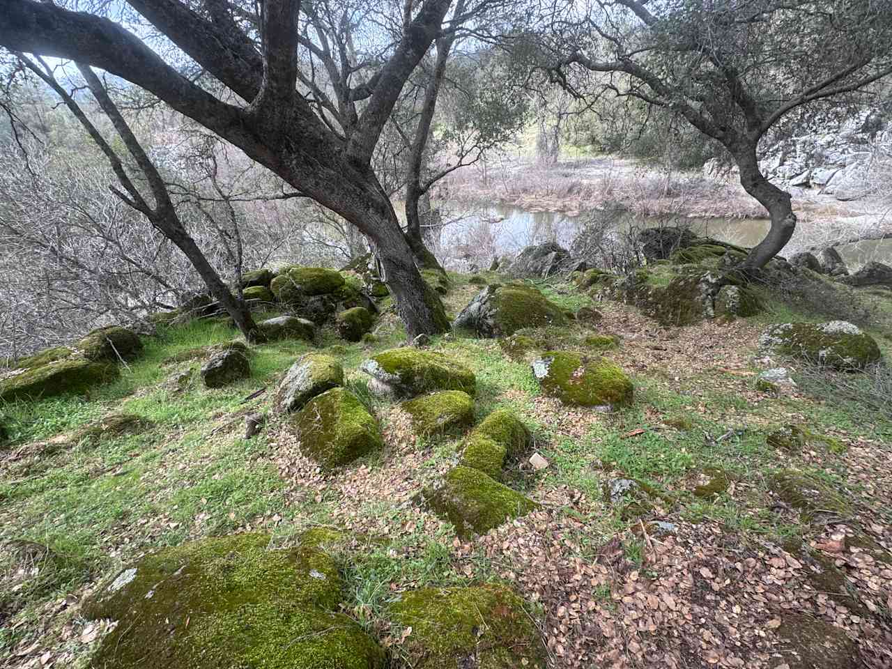 San Pedro Ranch