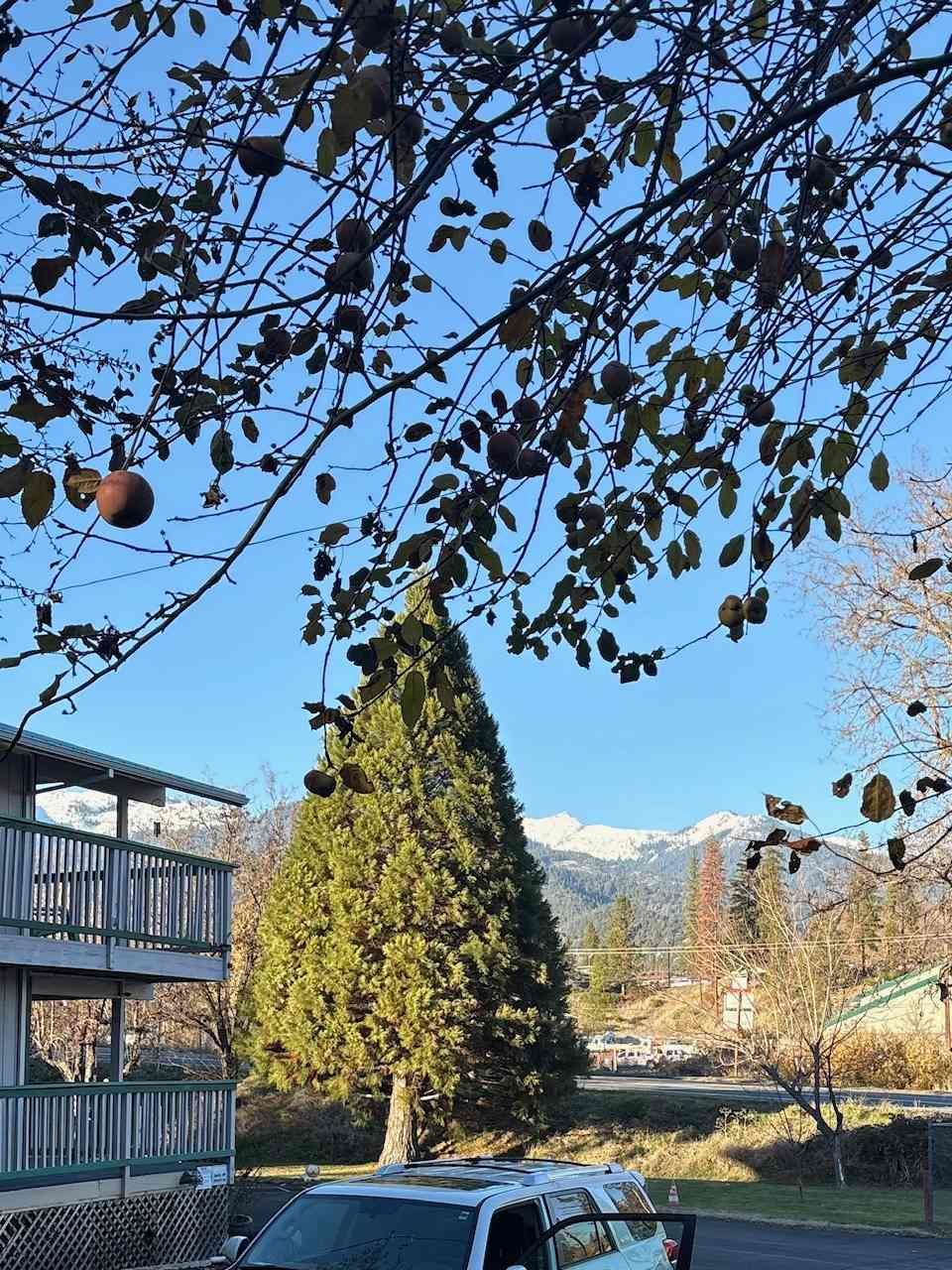 Trinity Alps RV Park