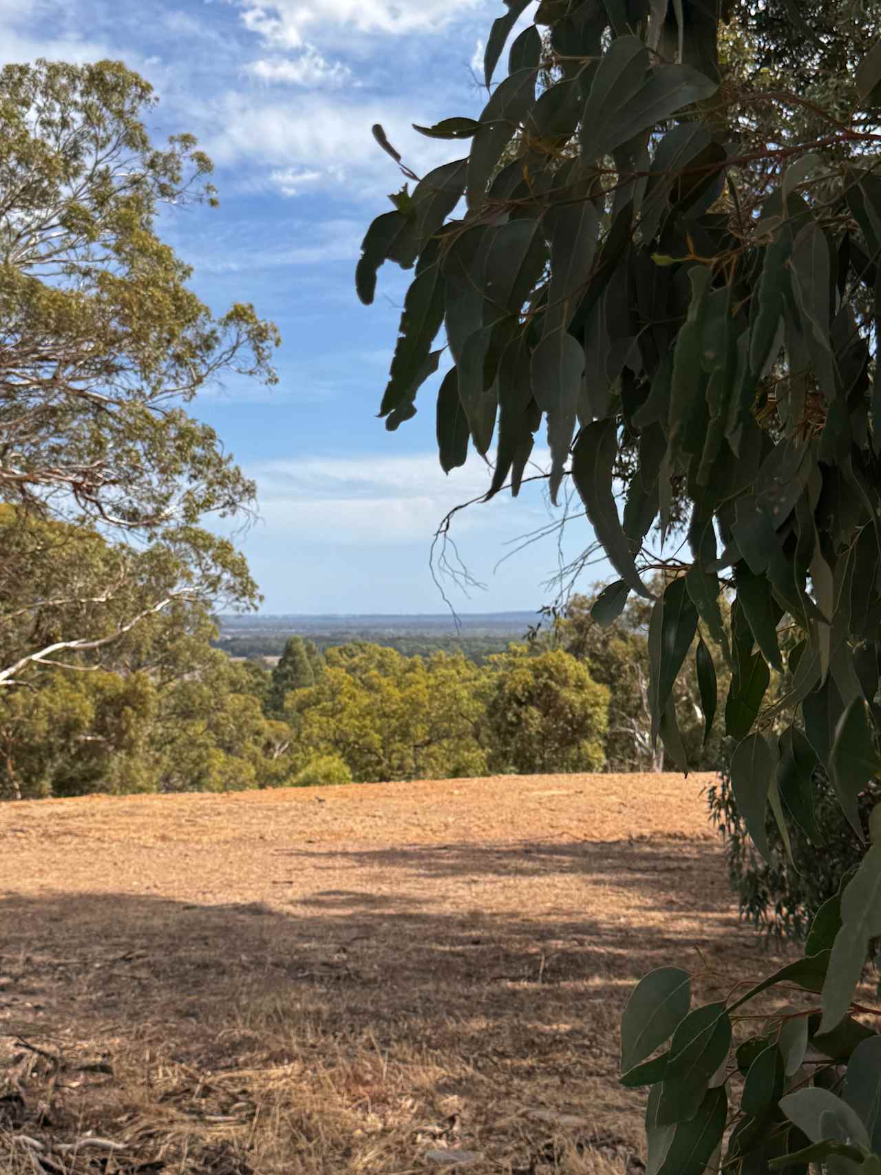 Yarrabah High Country- Jarrahdale