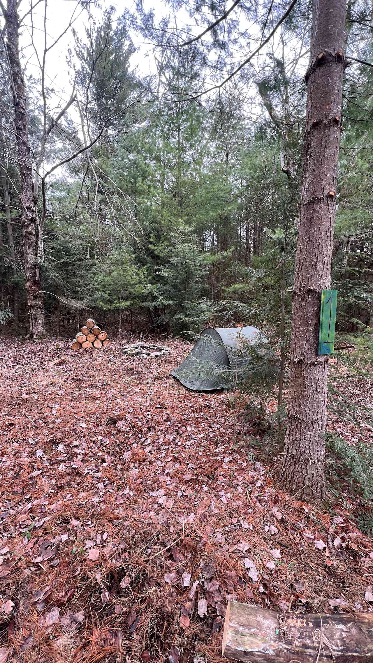 Crystal Spring Camp