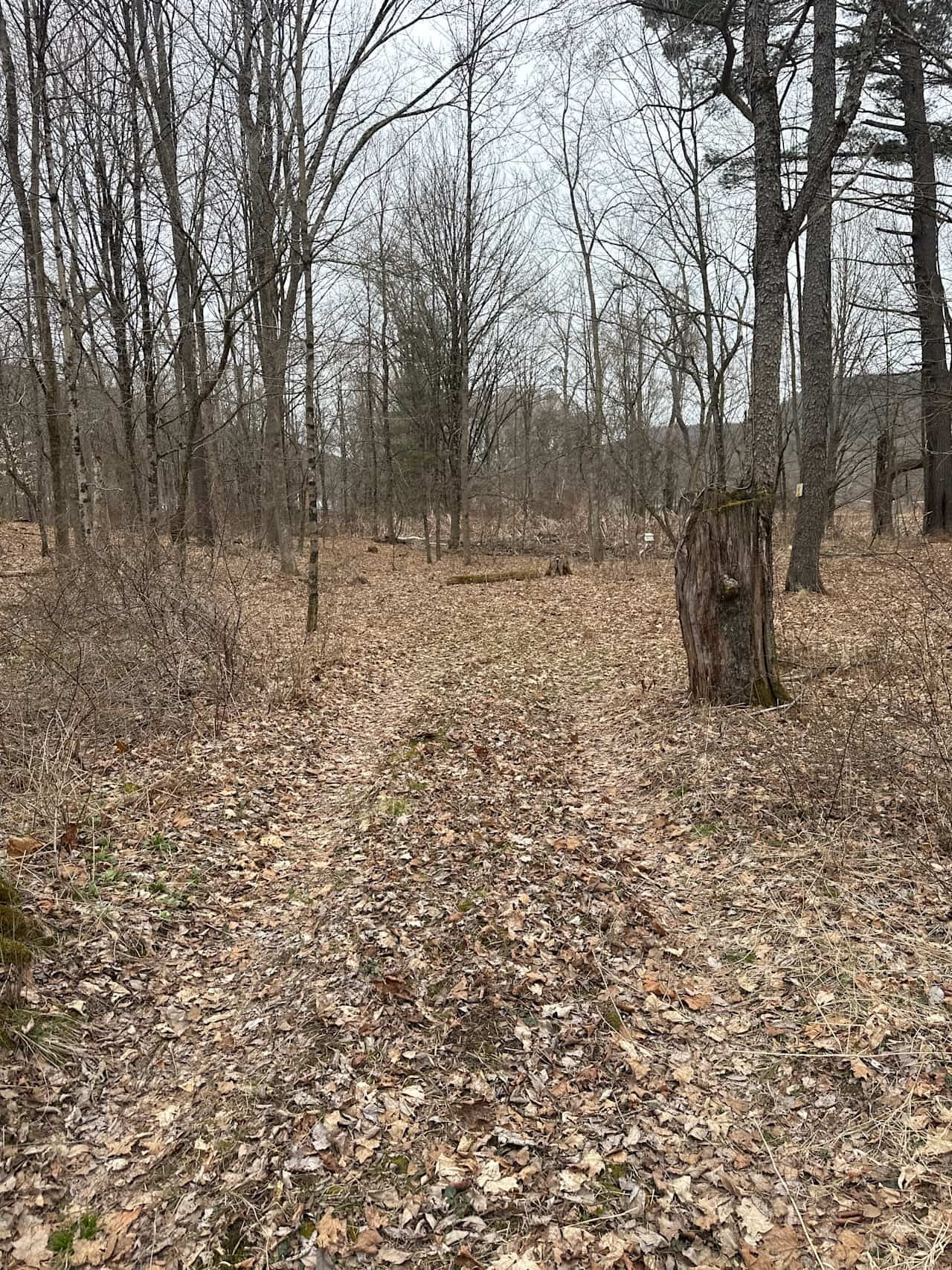 Brokedown Palace