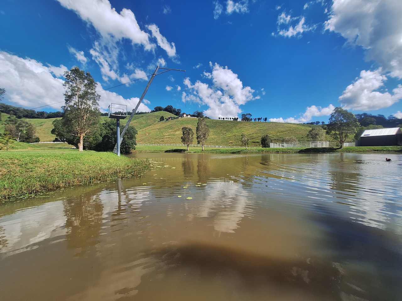 Callemondah Farm Campsites Near Byron Bay