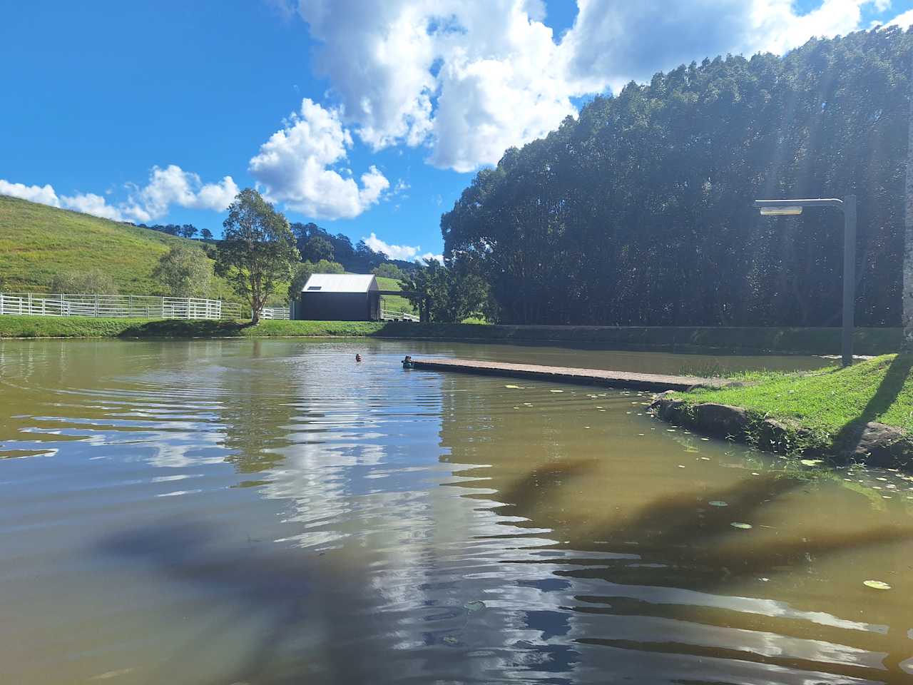 Callemondah Farm Campsites Near Byron Bay