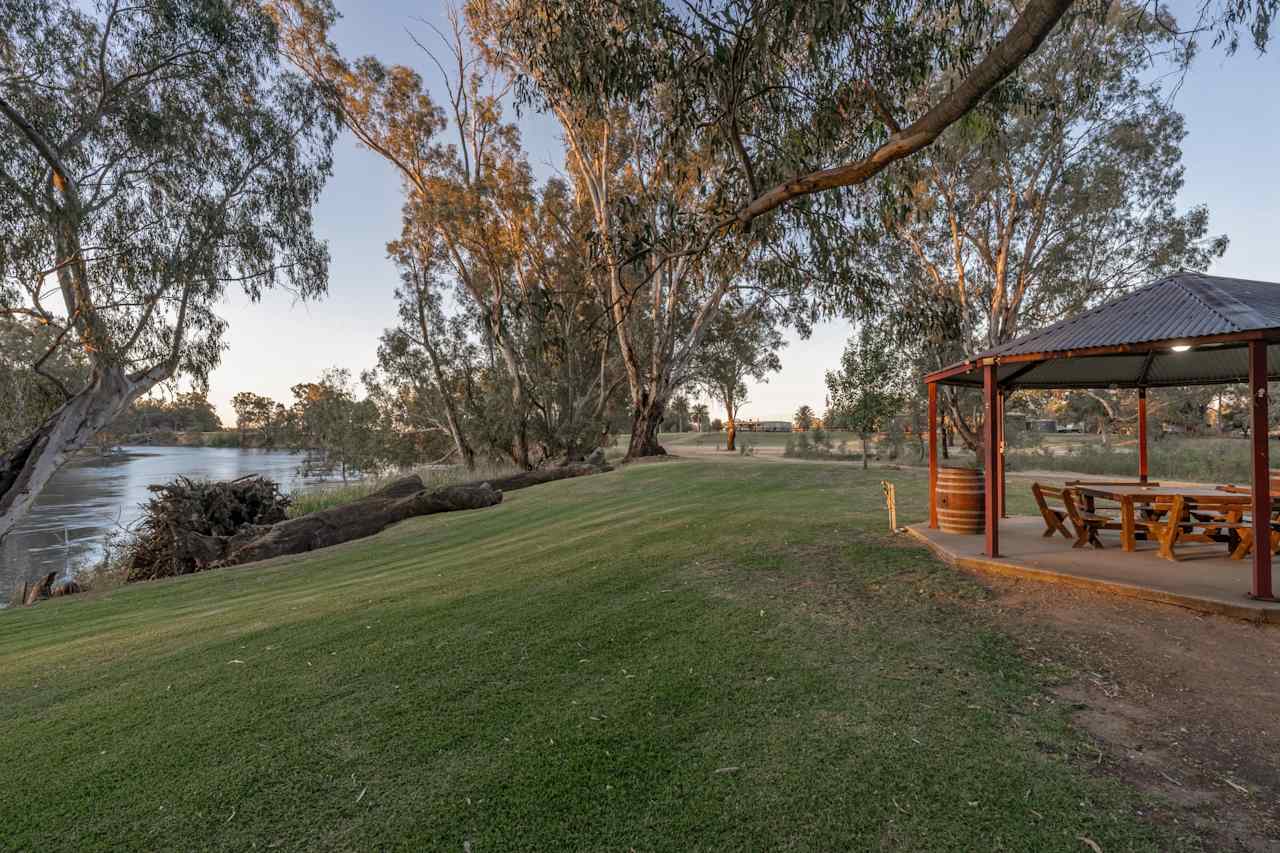 Palm Cove On The Murrumbidgee