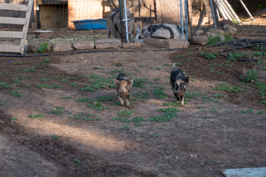 Off Grid Farm Tour Wailuku