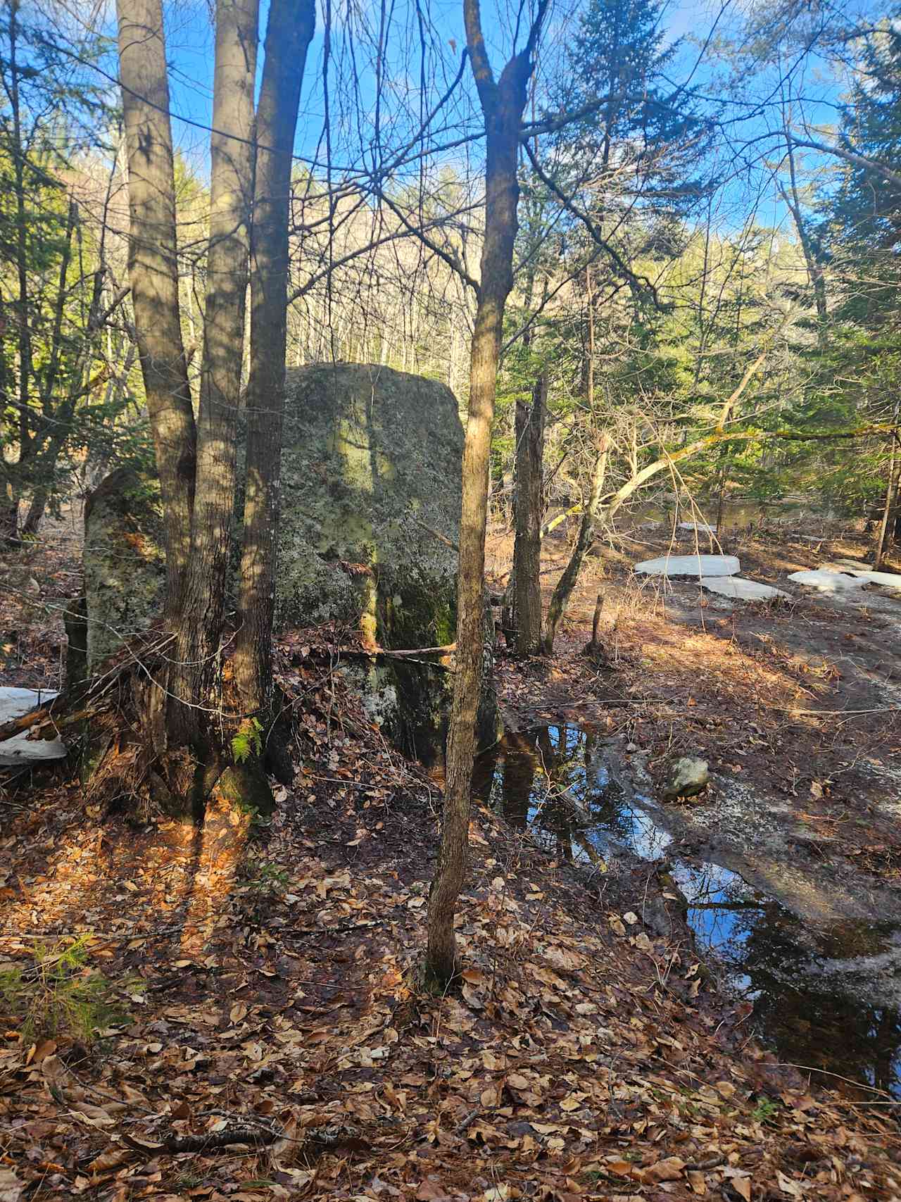 Neziscot River Off-Grid Cabins