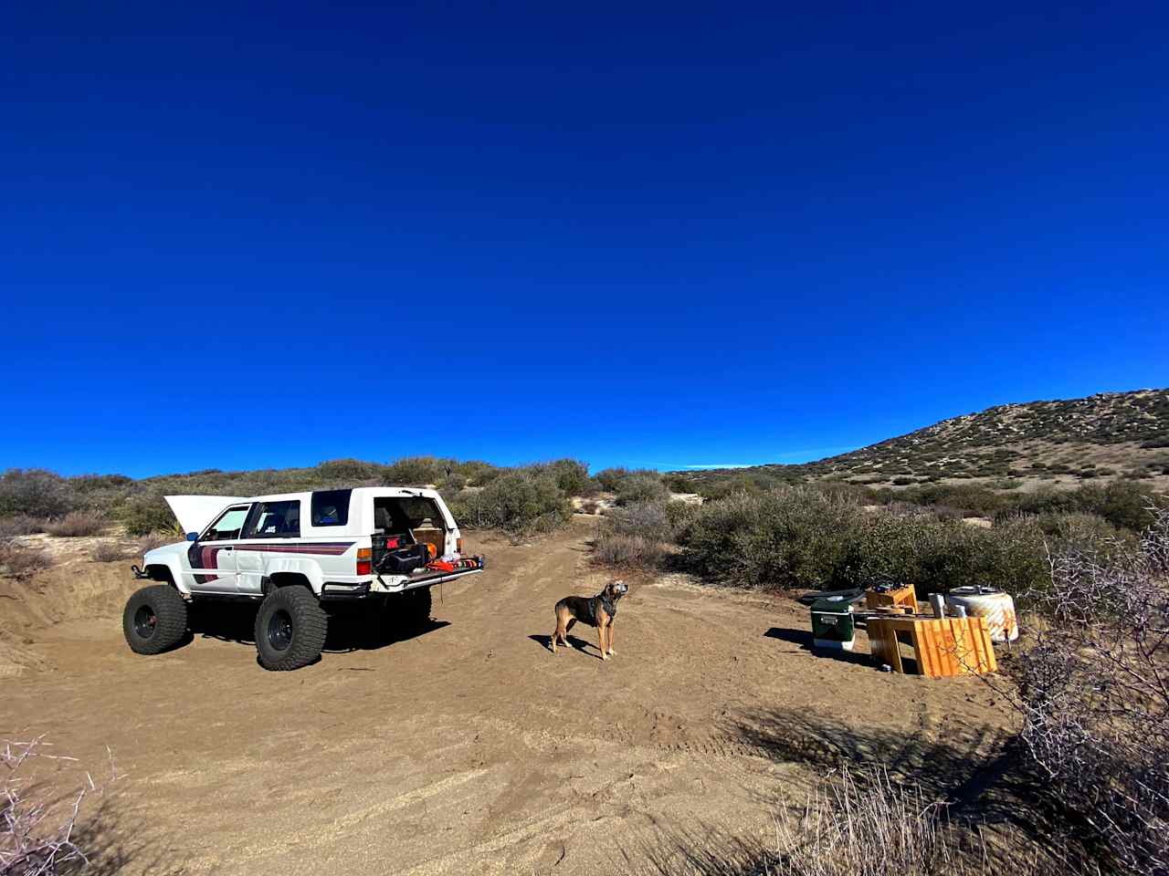 Pool Ranch